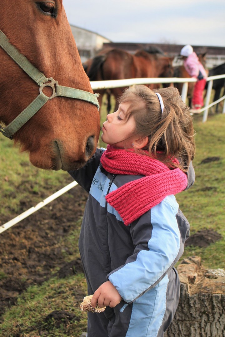 horse & girl