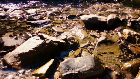 обои stream, river