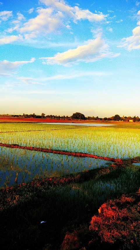 nature