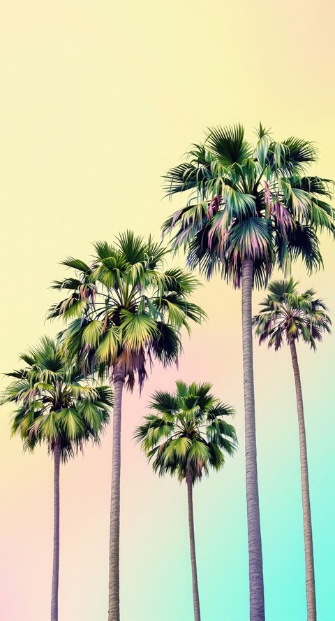 wallpaper tropics, Coconut