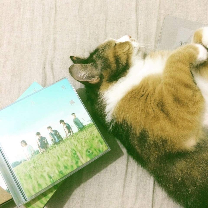 Mayday NO.9 album History of Tomorrow