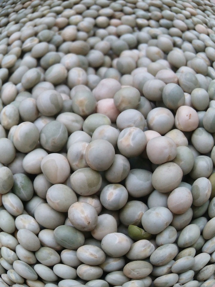 matar