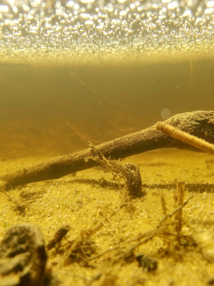 Under Puddle