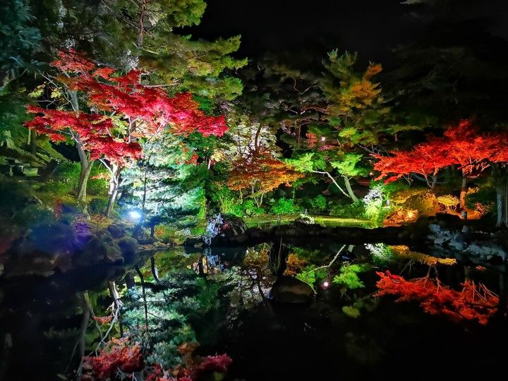 japanese garden at night