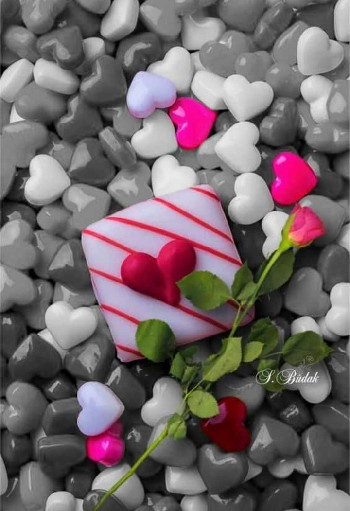 love