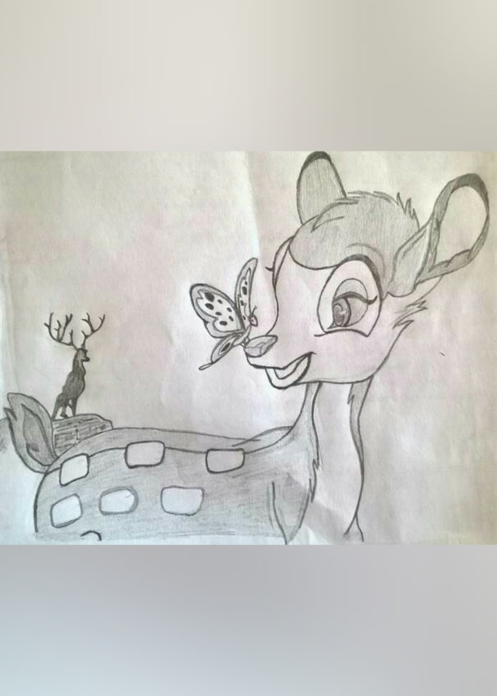 deer