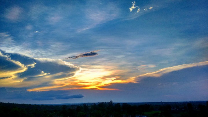 Fish In The Sky
