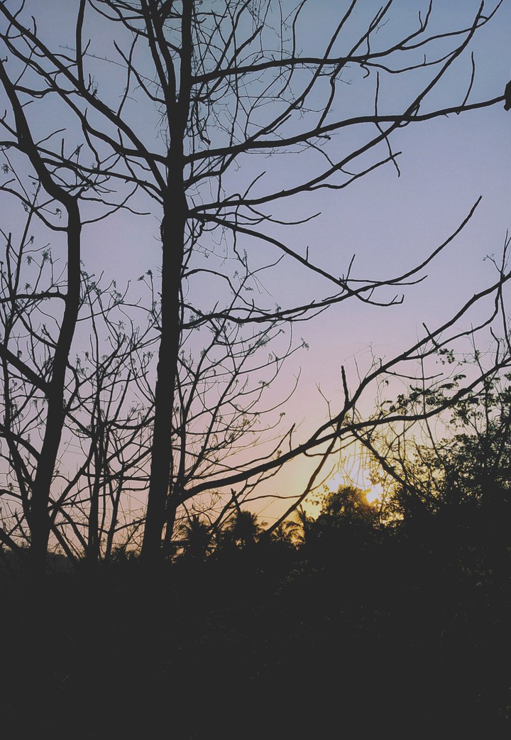 winter Evening