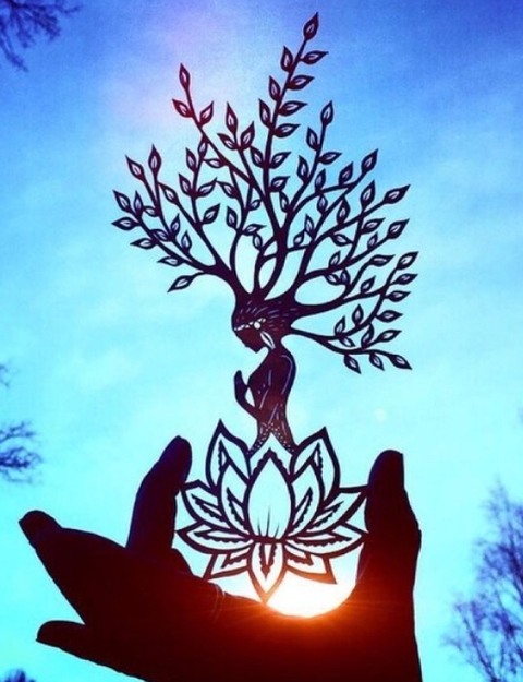 branch, sky achtergronden