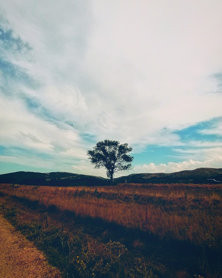 cielo d'agosto