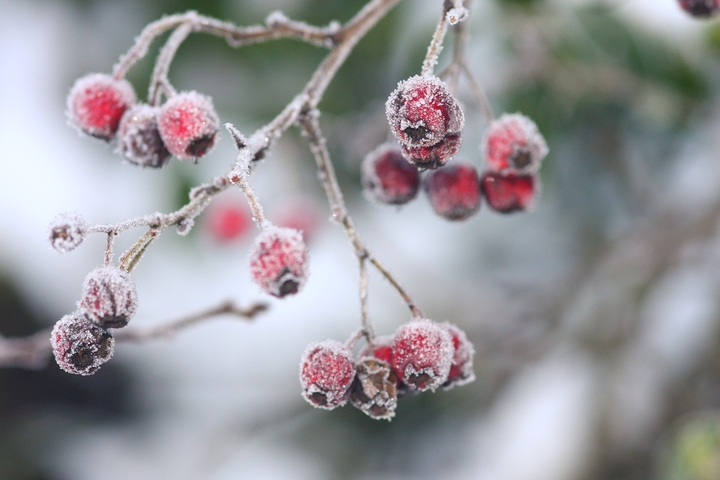 Winter