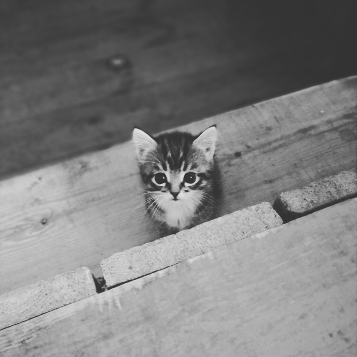 #cute #love
