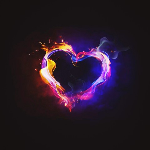 heart