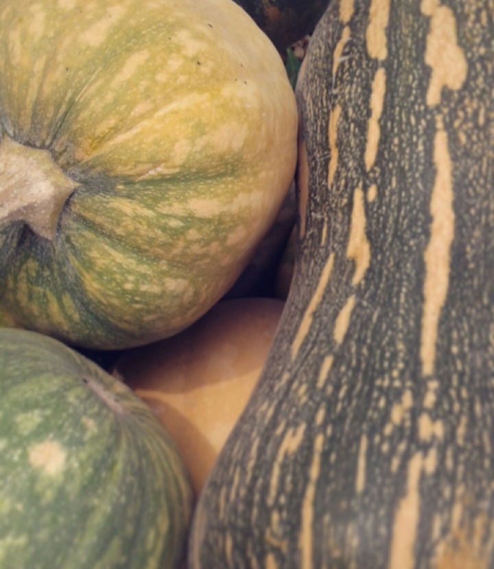 Pumpkin