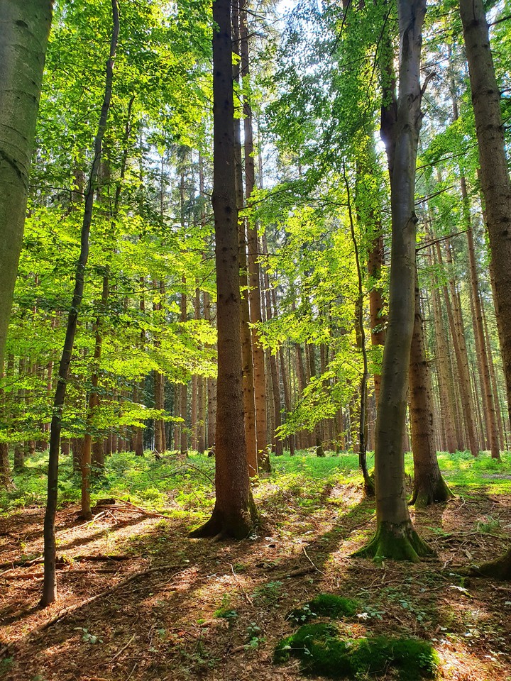 Somewhere in Bavaria