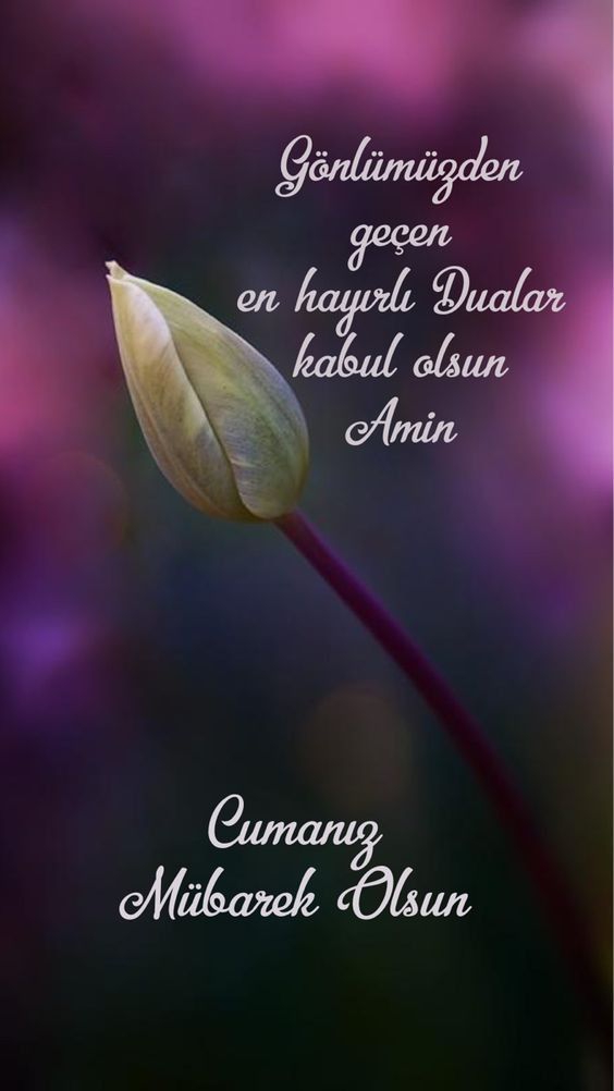 Amin