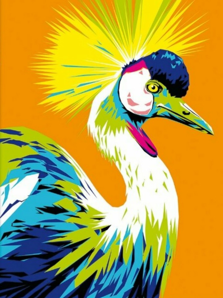 bird