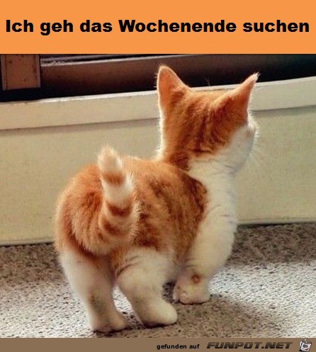 Wo ist das Wochenende...?