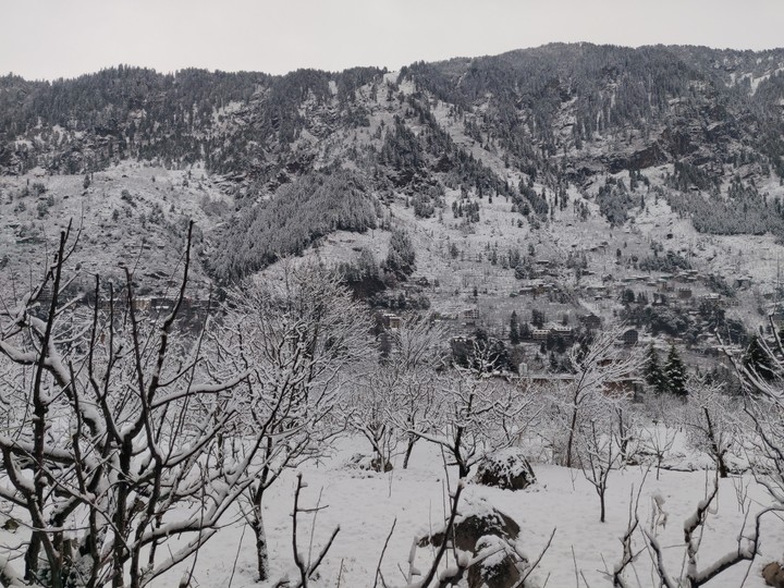 snow