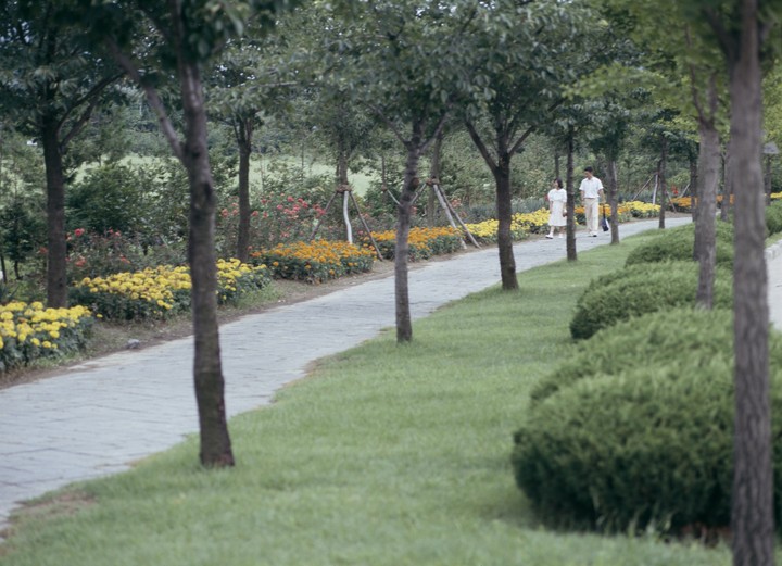 Nature and Road