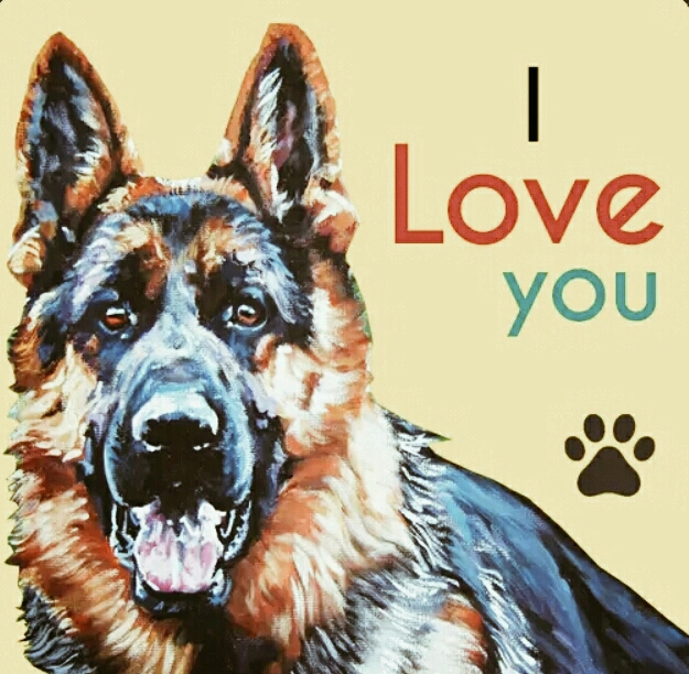 German Shepherd love you!