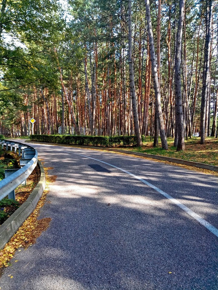 the road to the mountain
