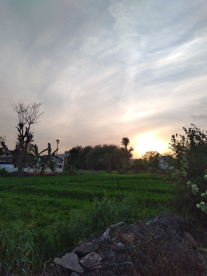 setting sun