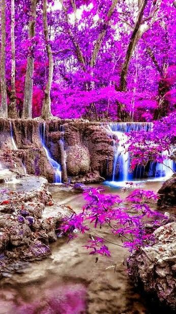Beautiful Purple, & Pink with Waterfalls