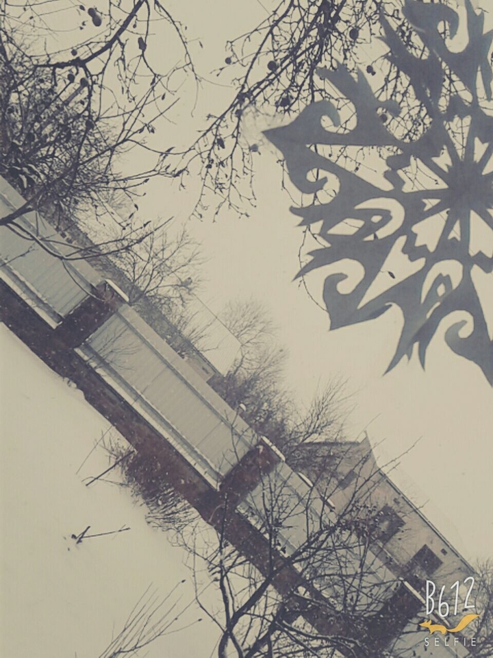 м