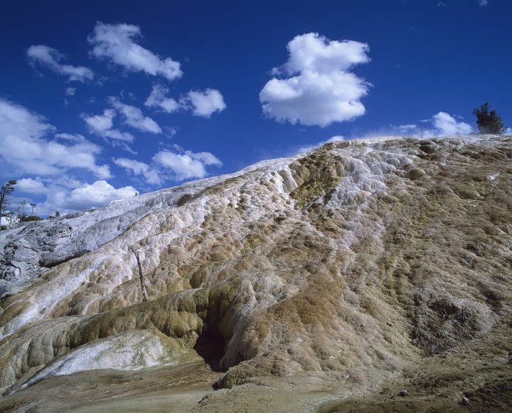 Seasonal Landscape