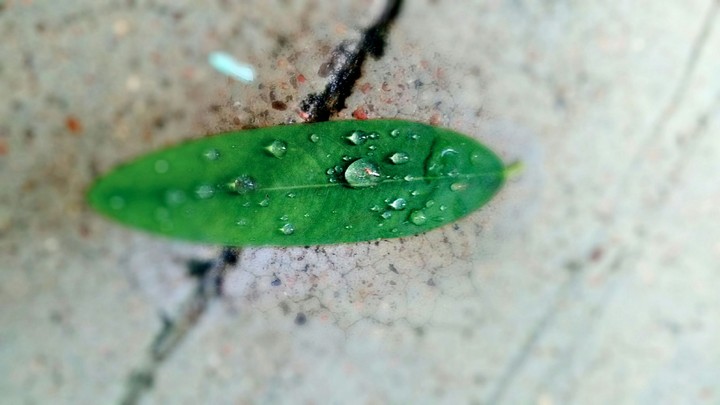 Drops...