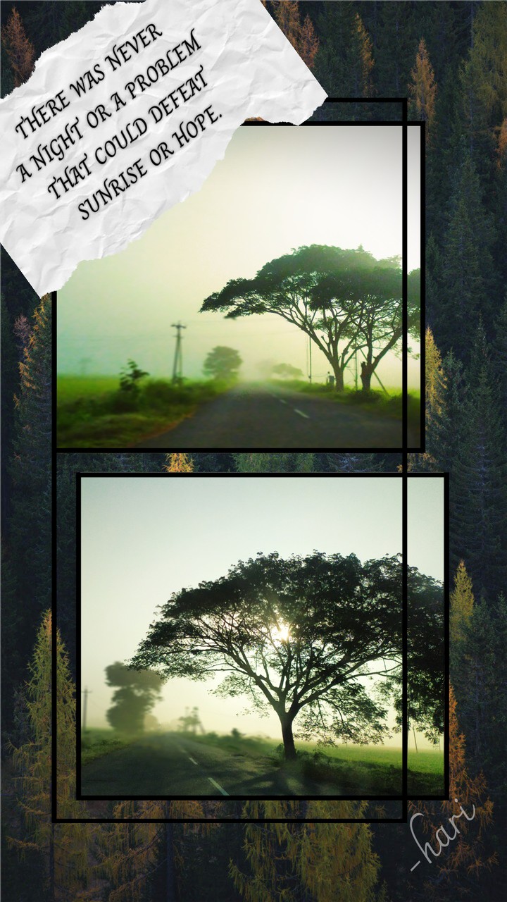 my mobile photography