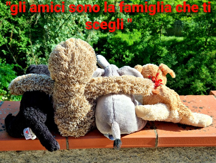 gli amici sono la famiglia che ti scegli