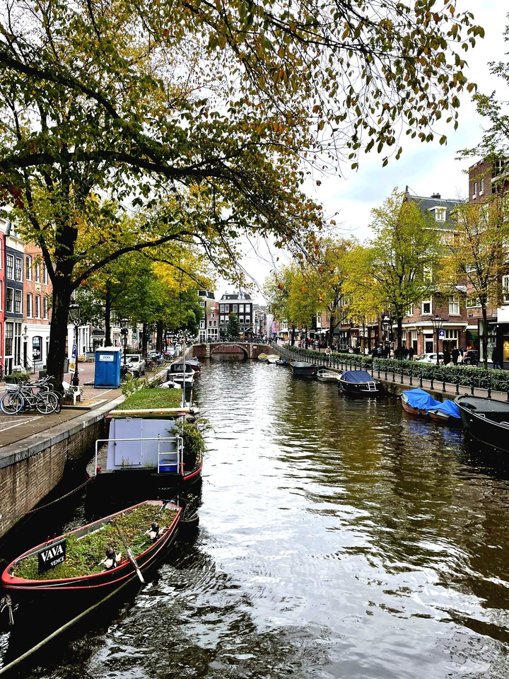 Ams