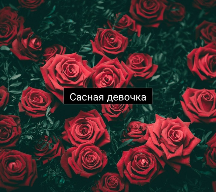 Сасная девочка