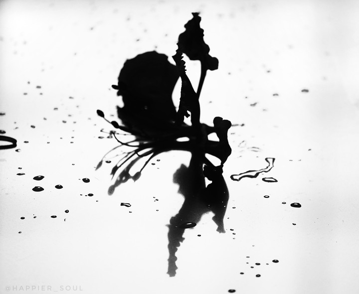 Reflections