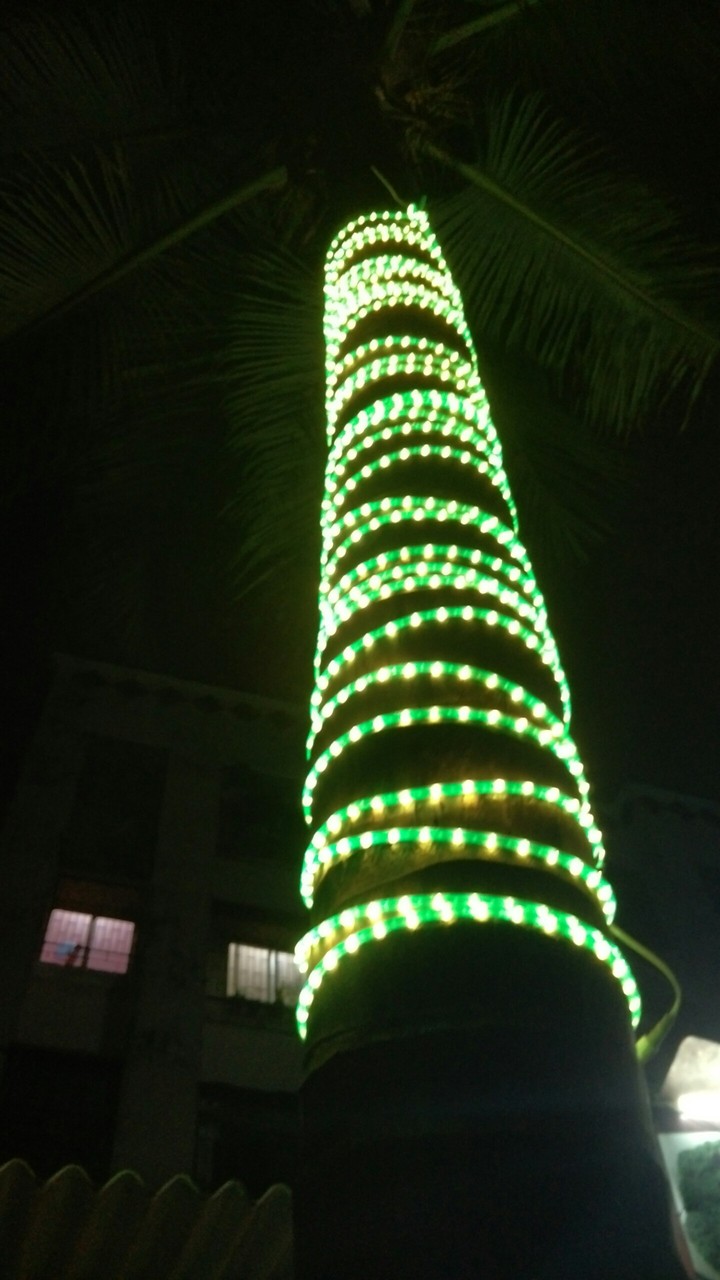 Neon65