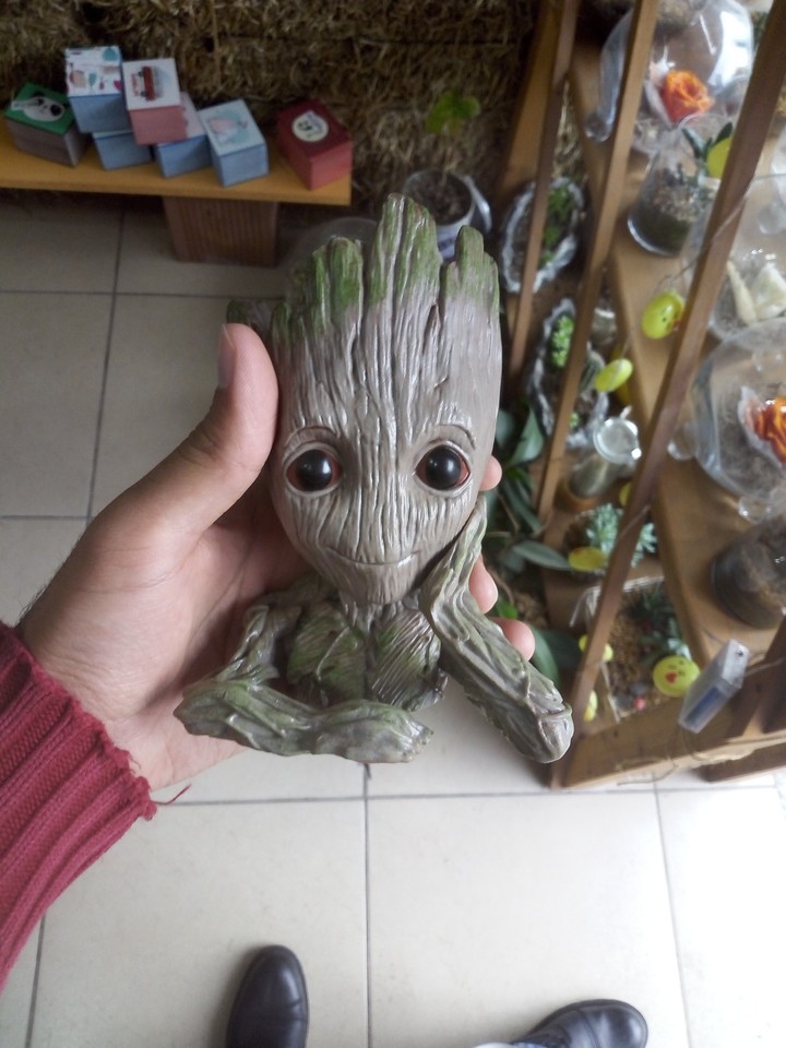 I AM GROOT