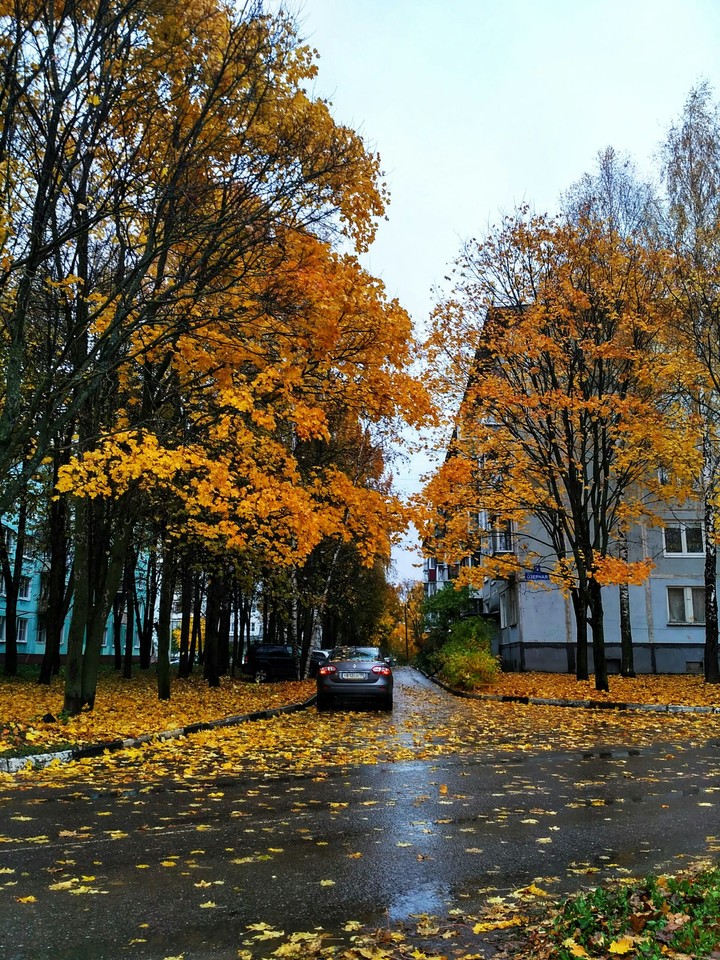аллея
