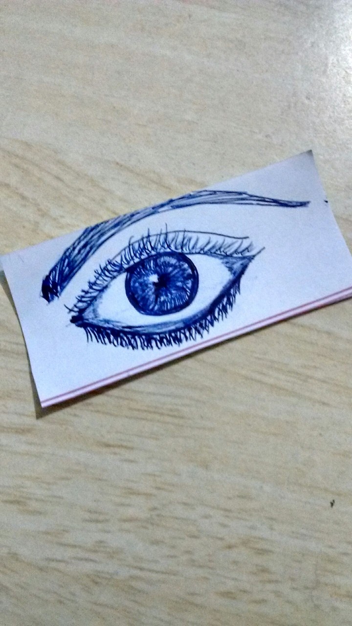 The eye