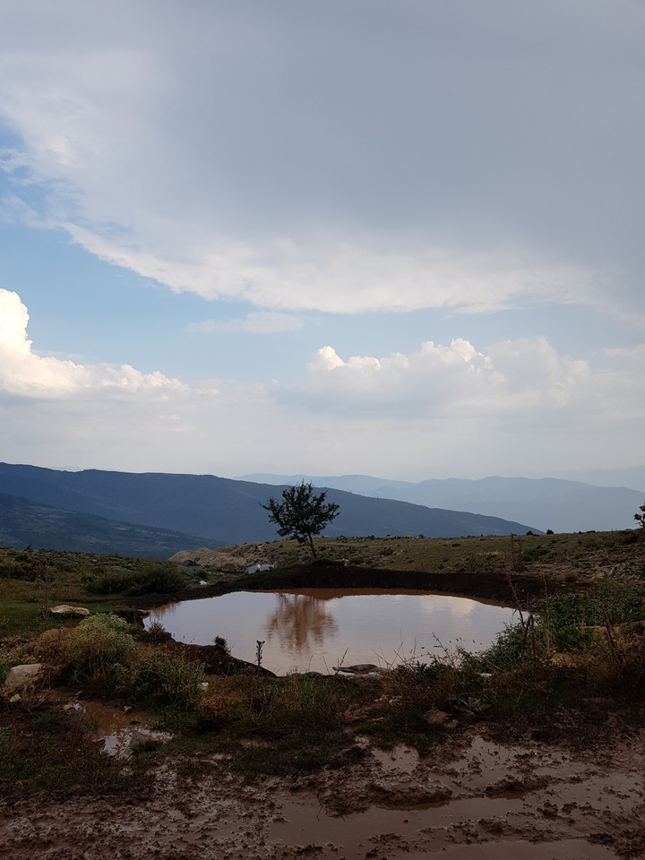 21.08.2018