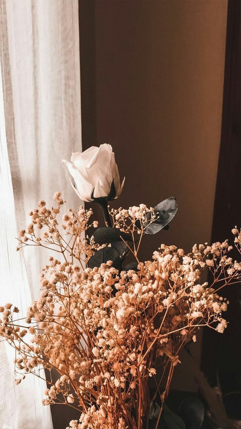 twig, Bouquet wallpapers