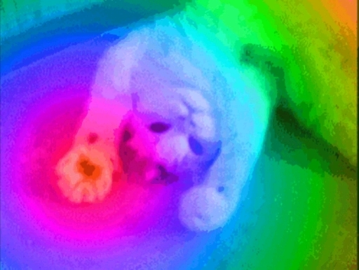 neon Cat
