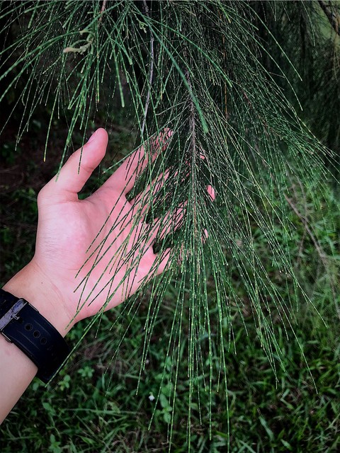 Man and Nature