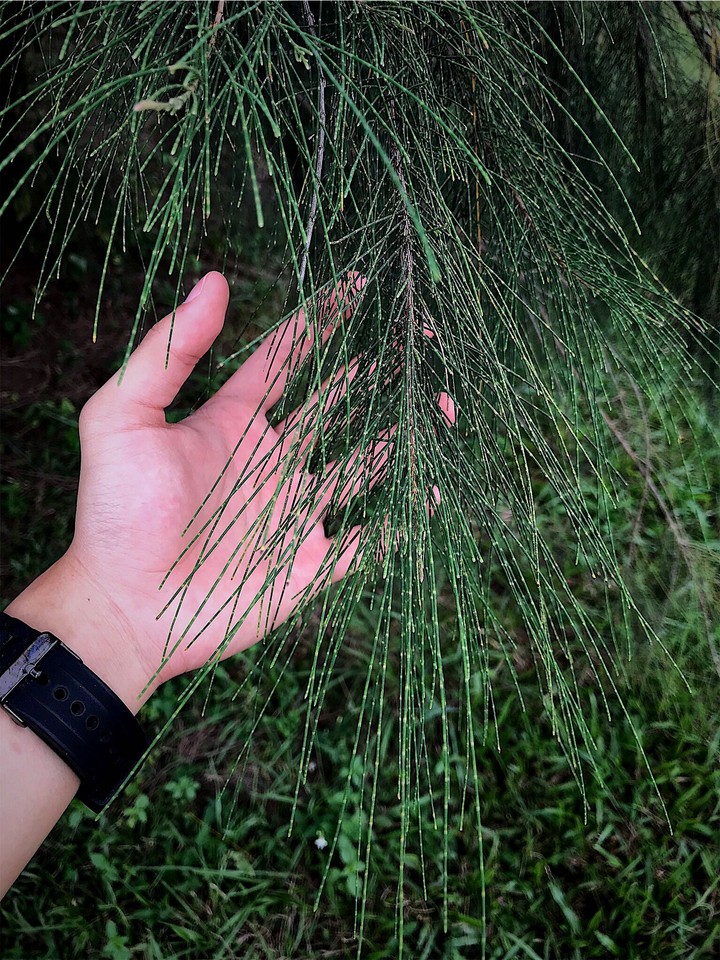 Man and Nature