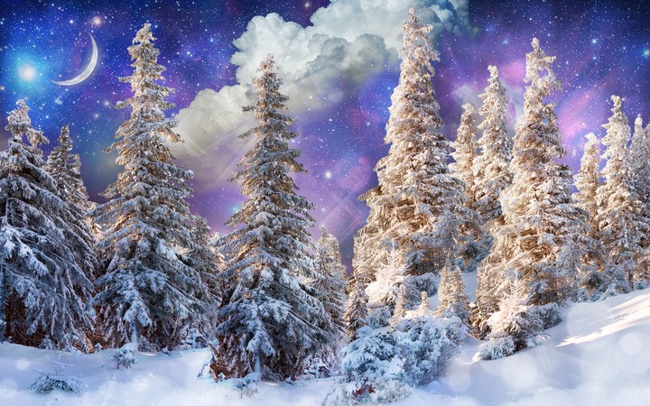 Winter