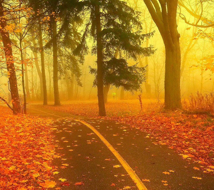 fall