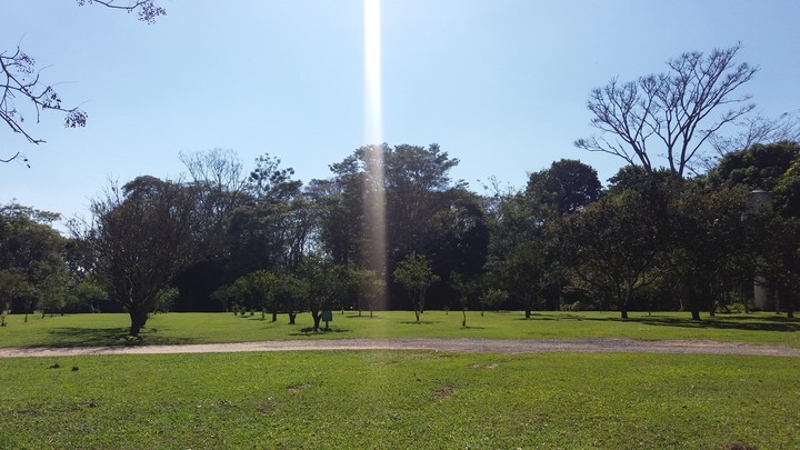 Natureza