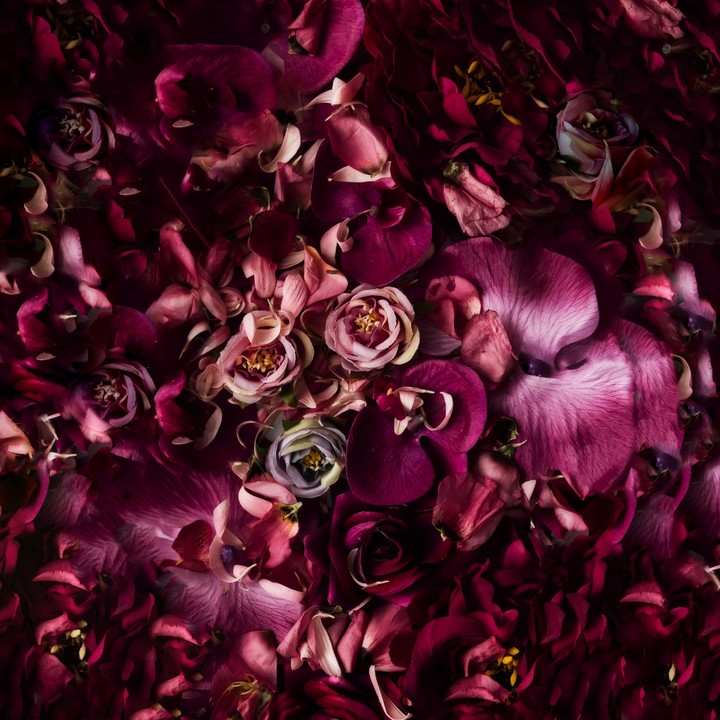 roses ?