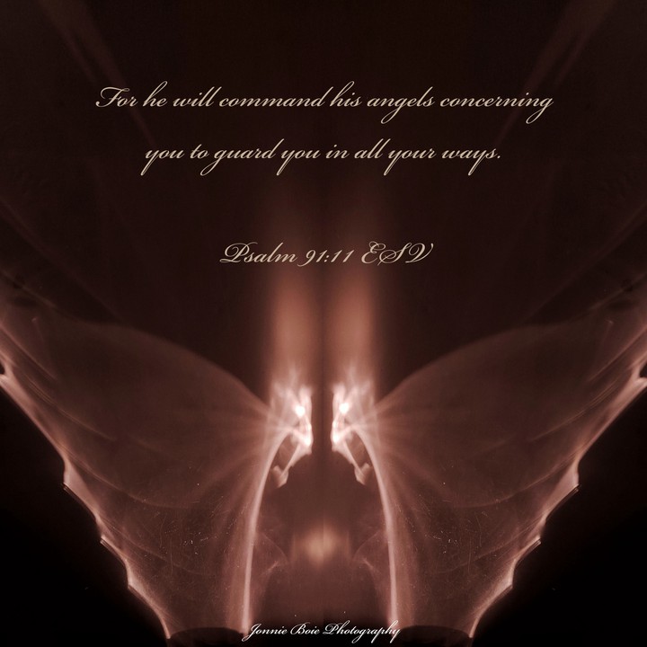 Bible verse